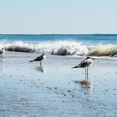 Direct Gulf Views With Deeded Beach Access Gulf Shores Exterior foto